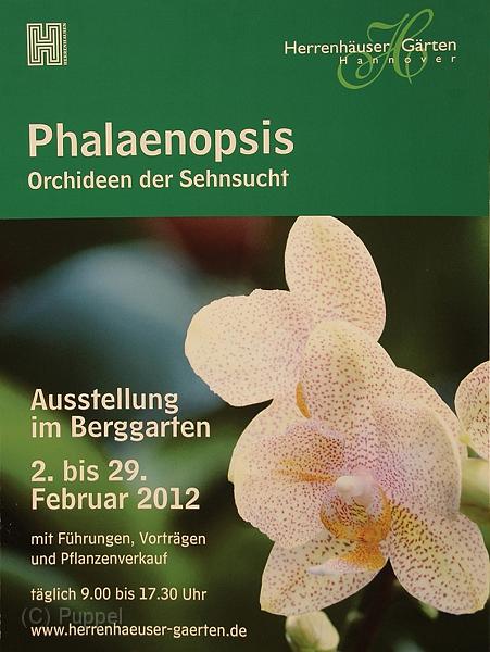 2012/20120201 Berggarten Phalaenopsis/index.html